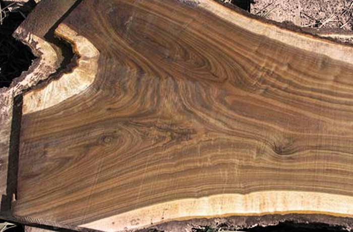 Black Walnut Wood